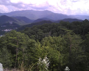 Kathy&rsquo;s view of Mt. LeConte